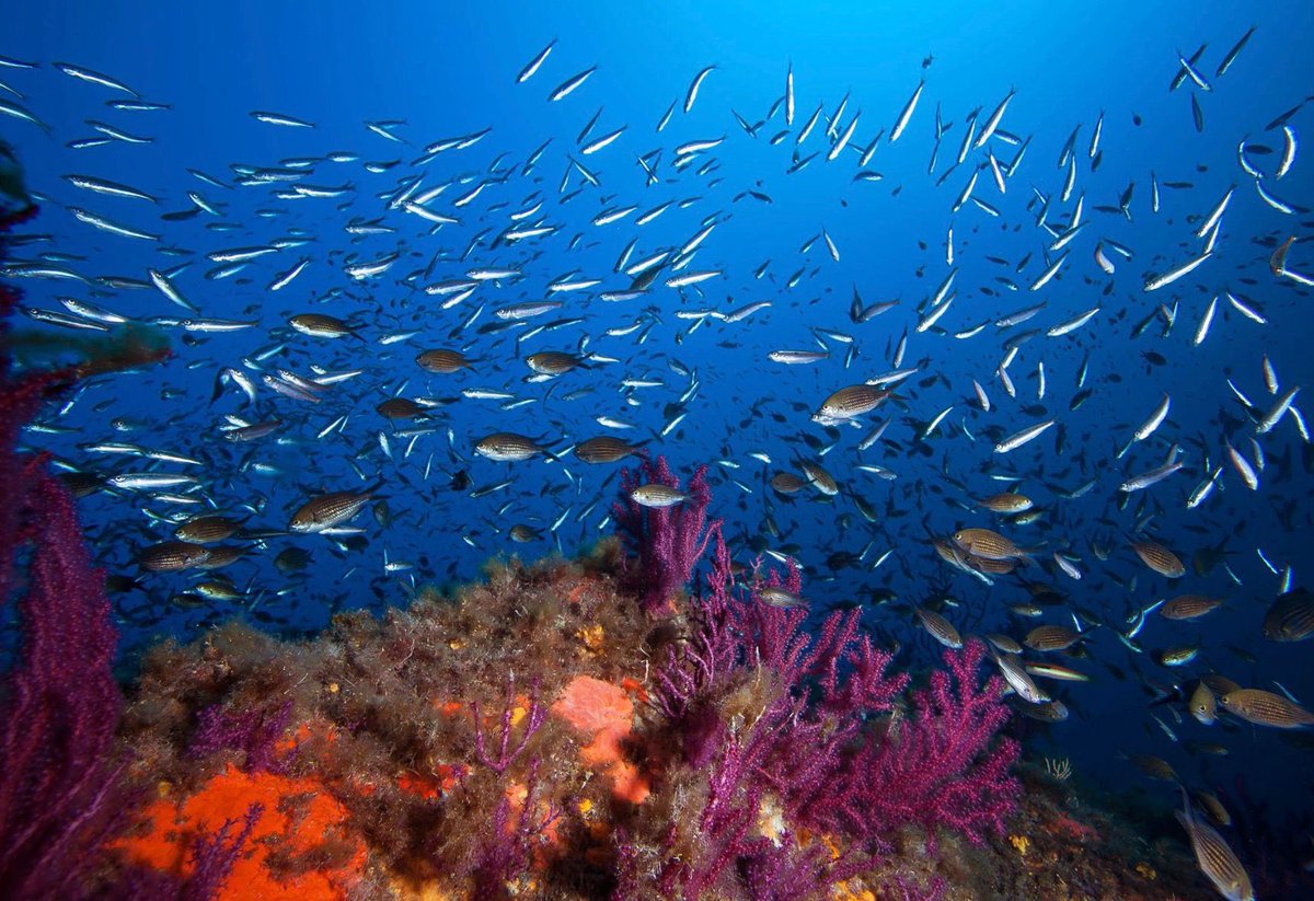 Jean Leonetti tweet media