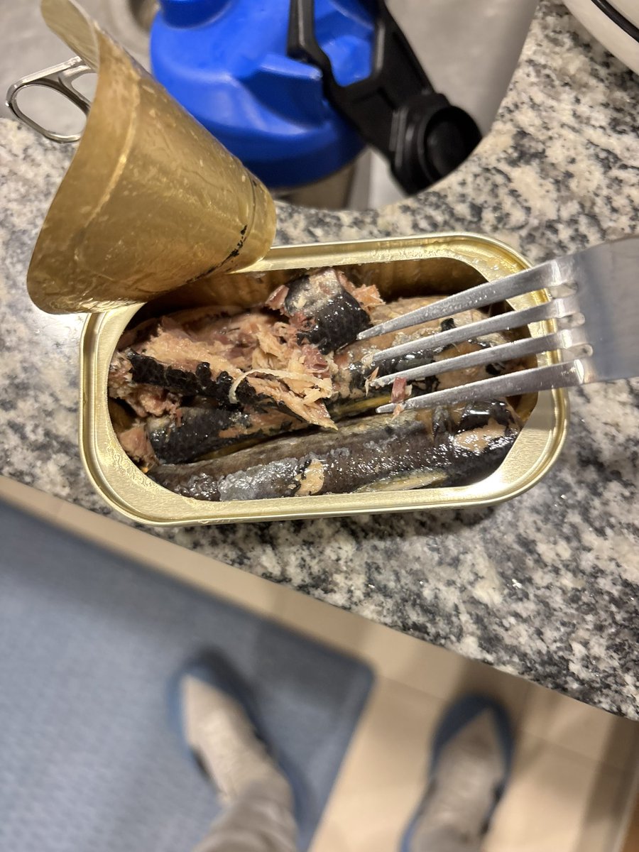 ham__will's tweet image. 38 avg RHR
130 avg HRV
Caffeine and sardine maxing ✍️☑️