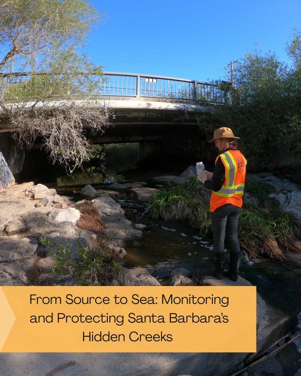 Santa Barbara sits between the ocean and the mountains, shaped by 4 creeks flowing from the Santa Ynez to popular beaches. Urbanization adds pollution, so the city monitors creeks and protects their watersheds.

Learn more  ➡️ fondriest.com/news/from-sour…

PC: Laurie Van De Werfhorst