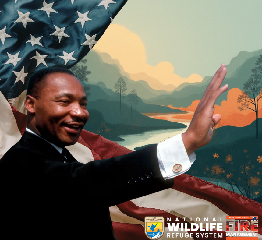 USFWS Fire (Archived) tweet media