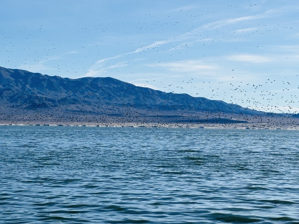 USGS Nevada tweet media