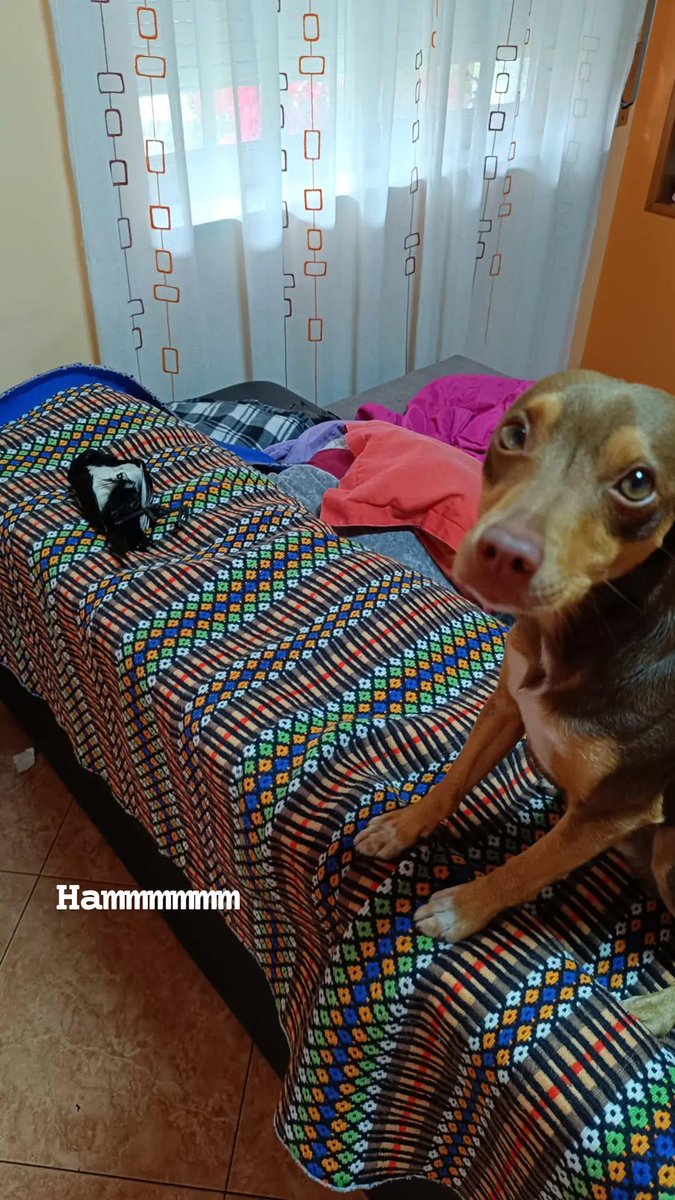 Confirmo