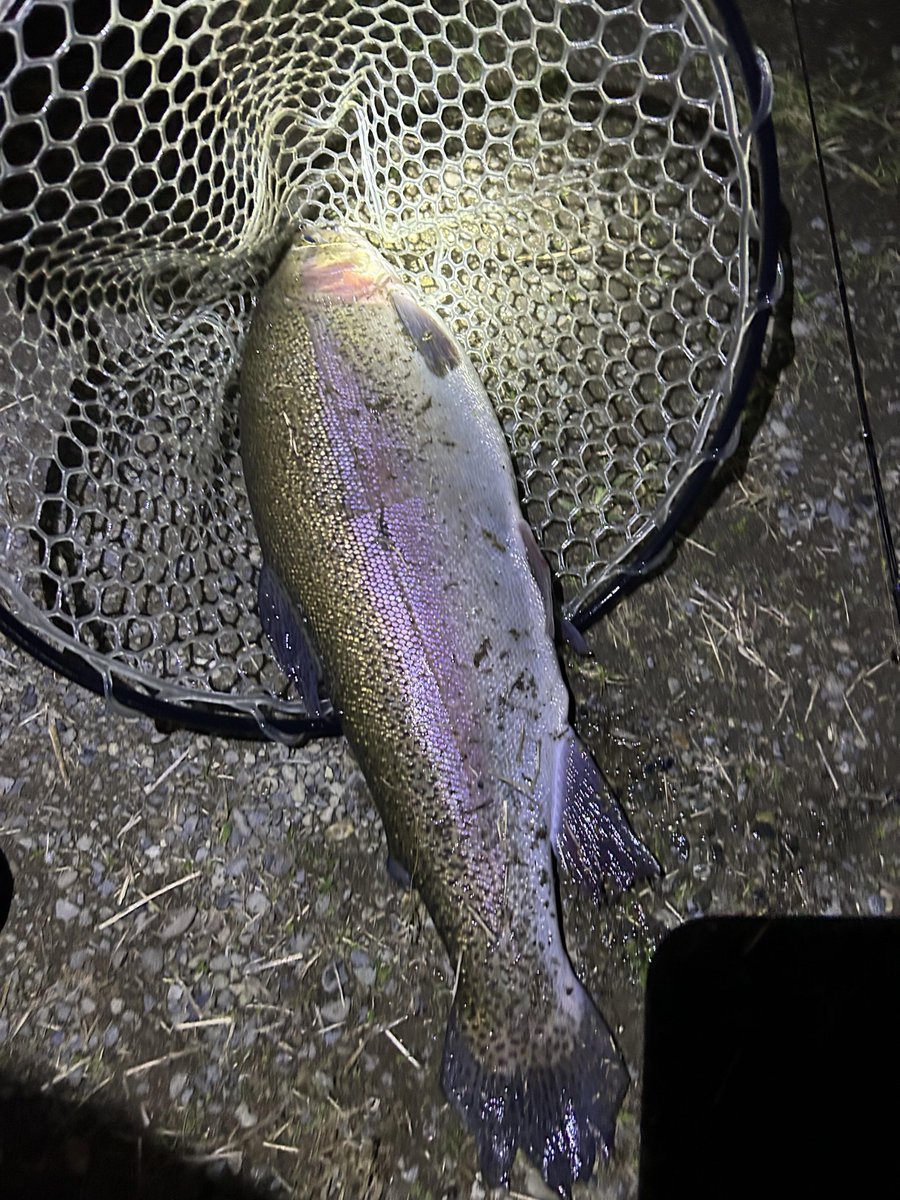 lvakumar's tweet image. 闇の中で、気配だけを待つ。