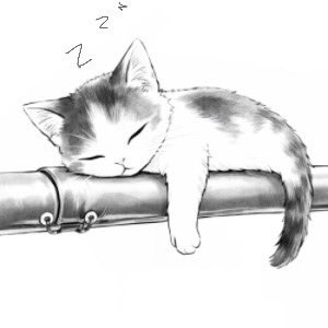 /ᐠ - ˕ -マᶻᶻᶻ 𝗓 𐰁