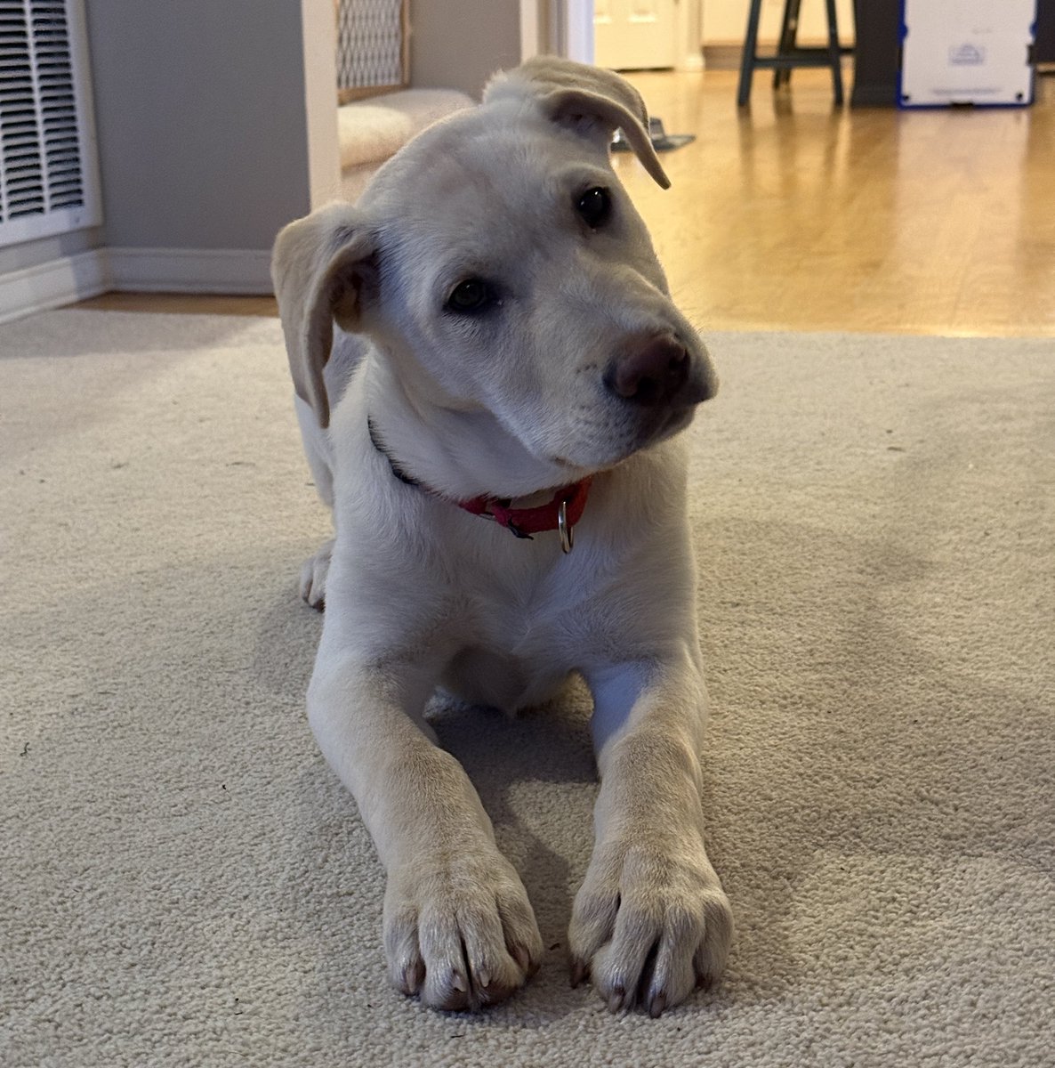 Utah Daily Snow tweet media