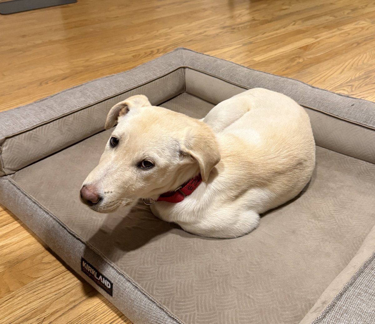 Utah Daily Snow tweet media