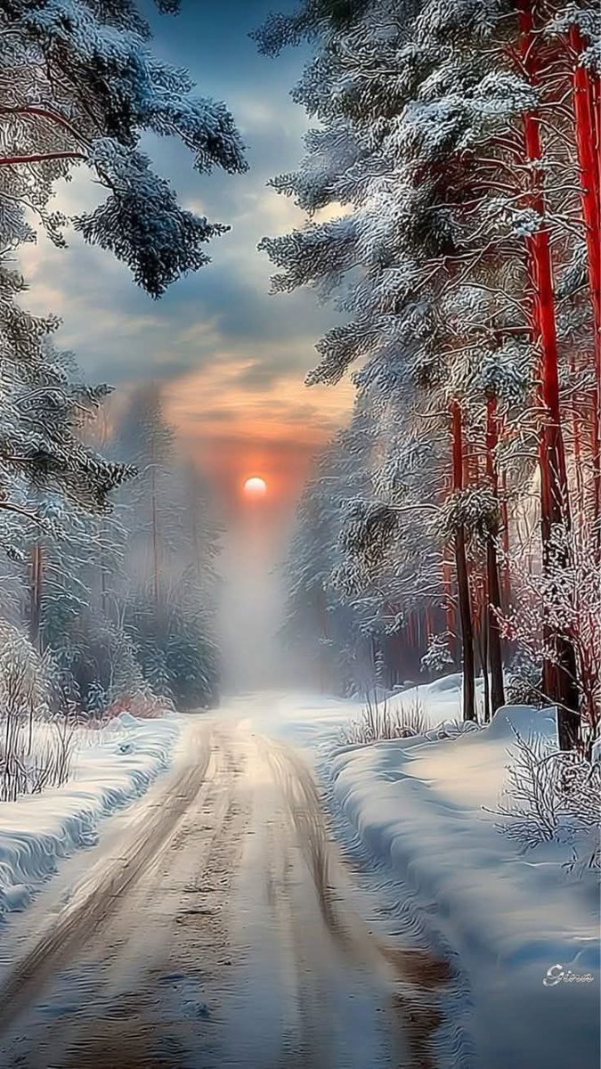 Nikol🌹💕🌹 tweet media