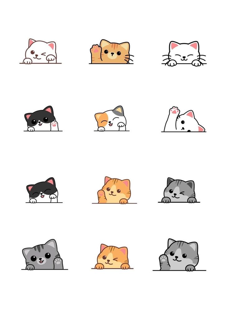 Solithra ☀️ tweet media