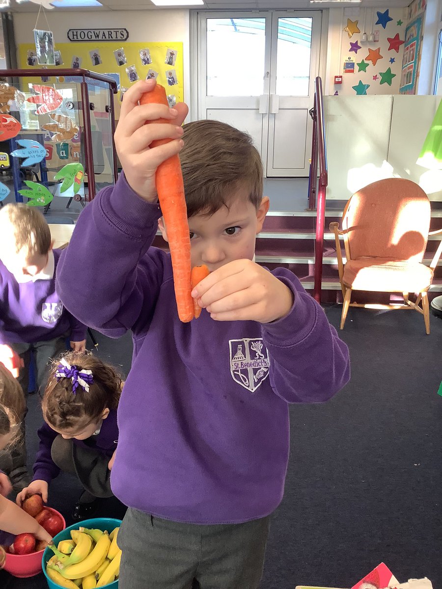 StBenReception's tweet photo. Noah found the longest and the shortest carrots in the snack bowl! 😊 https://t.co/8qgQJdQ9WV