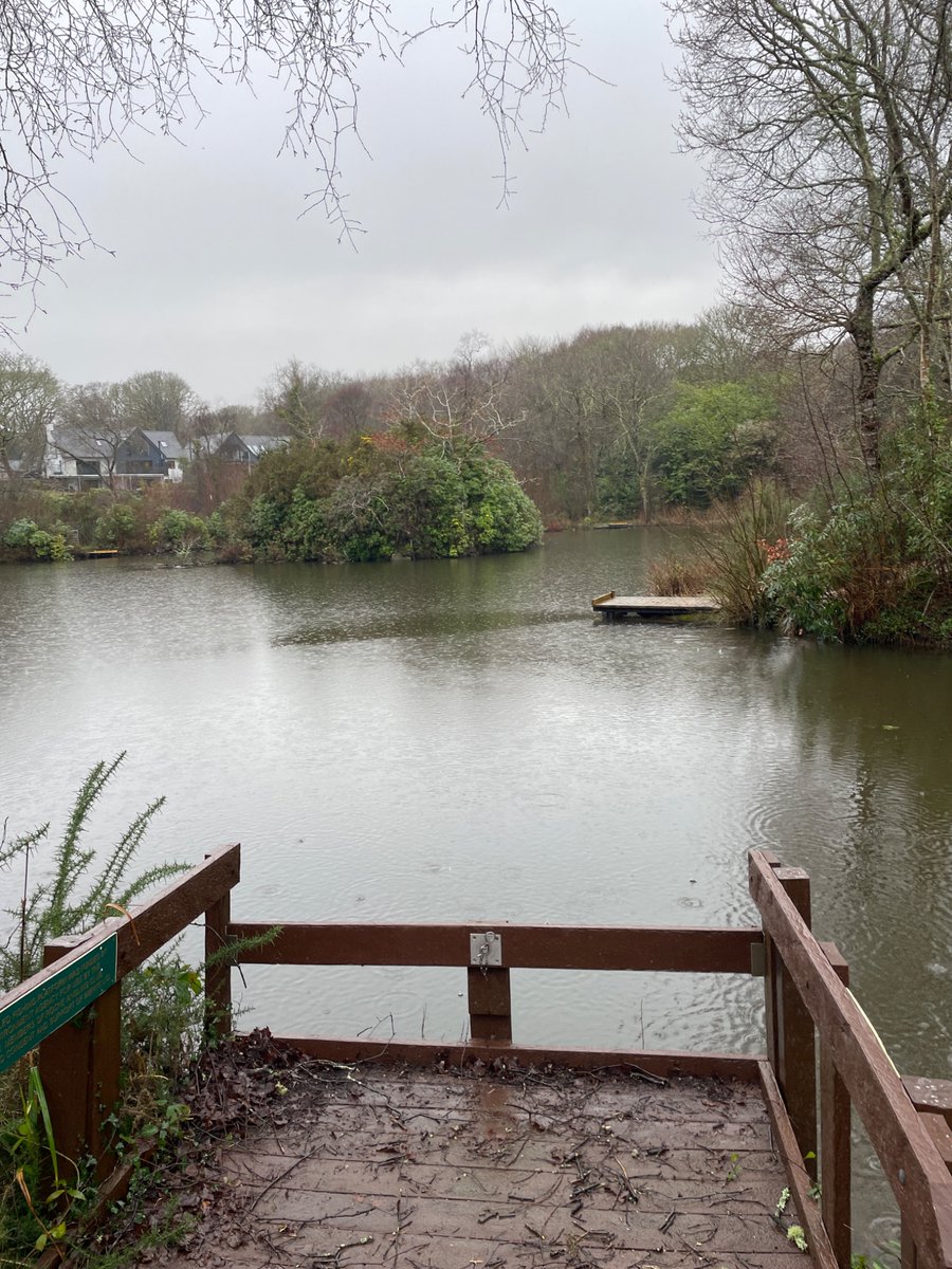 EA Fisheries - Devon and Cornwall tweet media