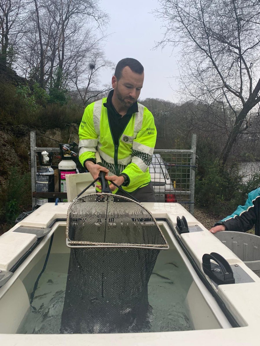 EA Fisheries - Devon and Cornwall tweet media