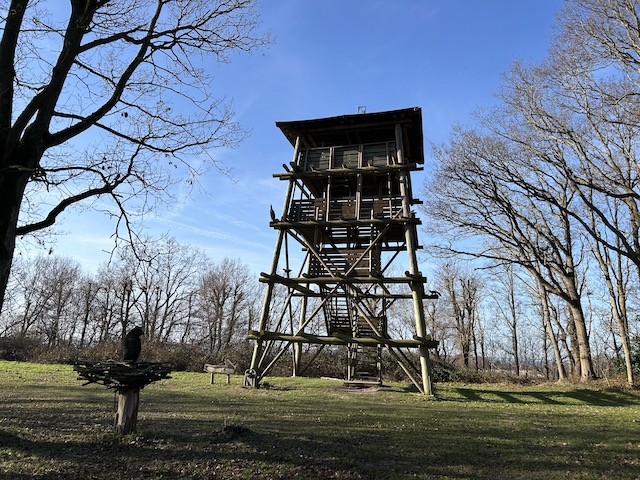 TrailExplorer tweet media