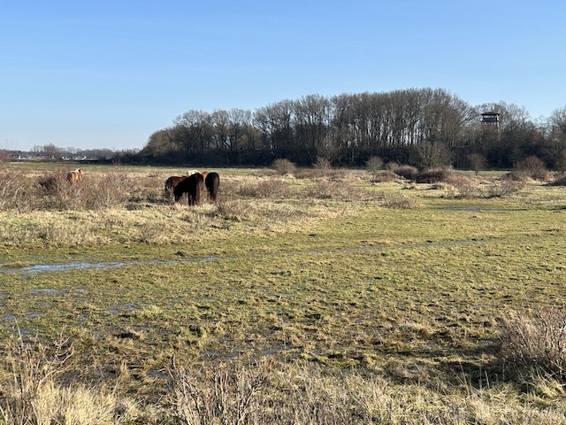 TrailExplorer tweet media