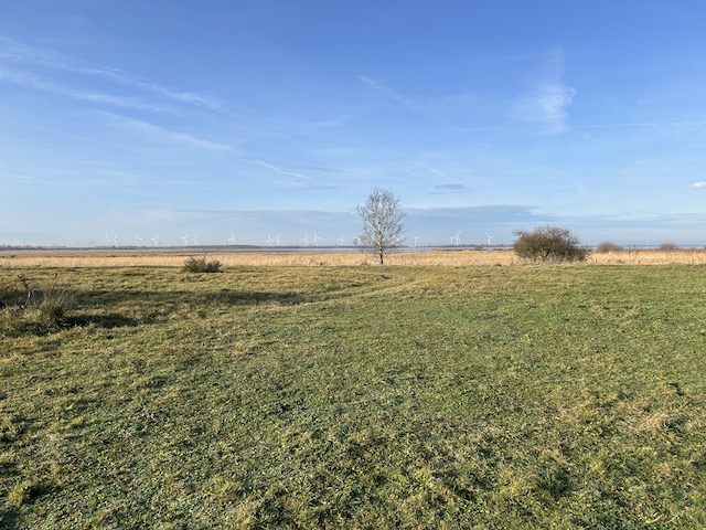 TrailExplorer tweet media