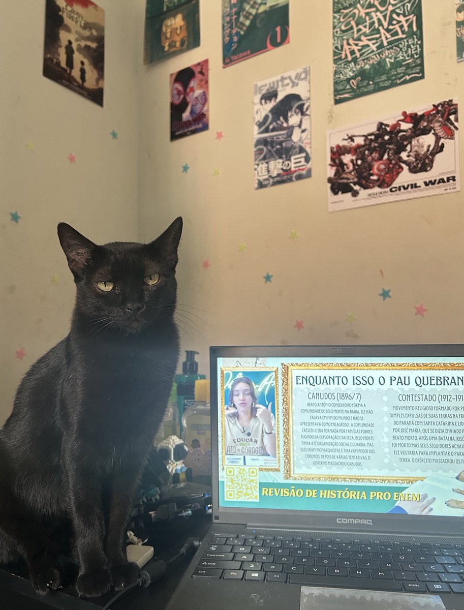 studdlev's tweet image. ela me acompanhando