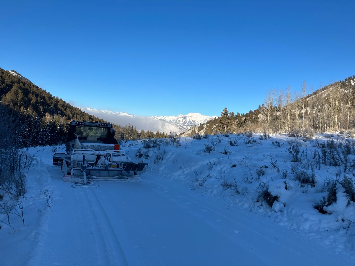 BushongProperty's tweet photo. Another Blue Bird day! ☀️🕶️

#cachecreekgrooming 
@jhnordic 
@tetonparksandrec https://t.co/JAvOYWwahk