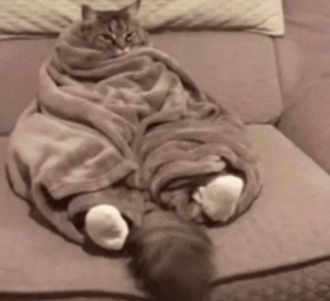 Time to get back to work.