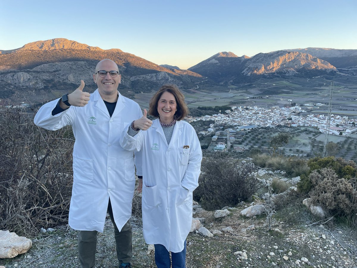 IsaNestares's tweet photo. En #Alfarnate- pueblo a mayor altitud de Málaga🏔️-conocemos a la #cabramalagueńa🐐disfrutamos del senderismo🚶🏻‍♀️🚶🏽en la #RutadelasPilas💦🥾y nos adentramos en la venta más antigua de Andalucía, con origen en el s.XIII 🍽️@pablosky6 @cabritosycorderosdelsur @canalsaludaldia @canalsur https://t.co/ch9HIYuPDw
