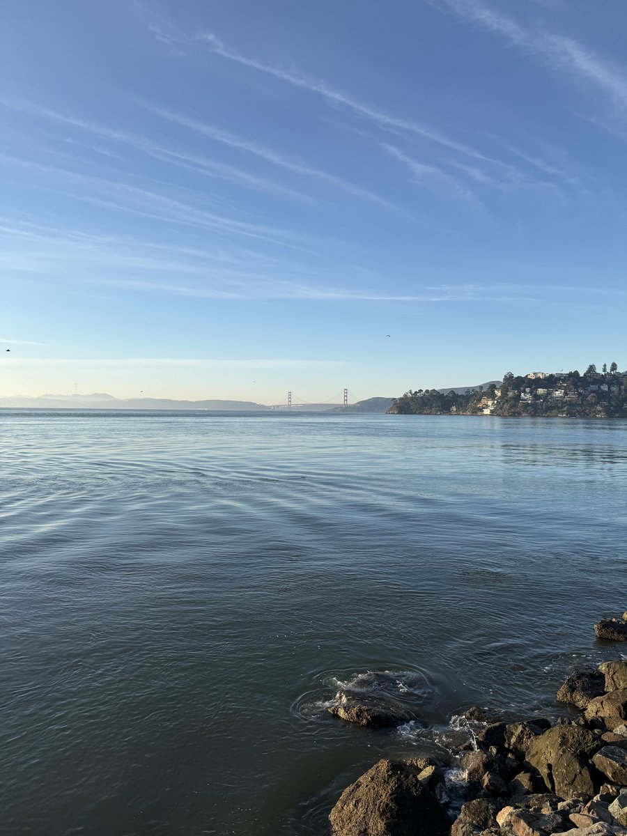 Matt Steele tweet media