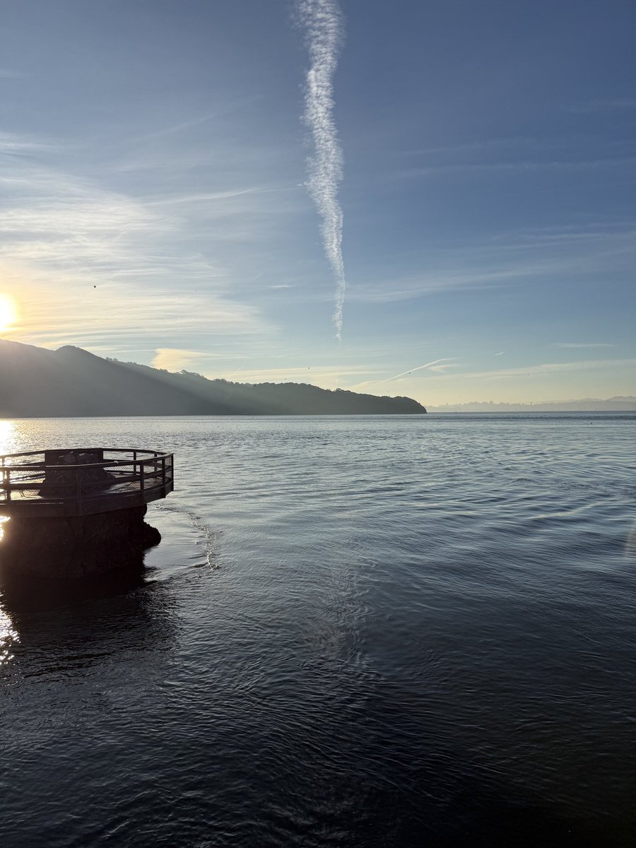 Matt Steele tweet media