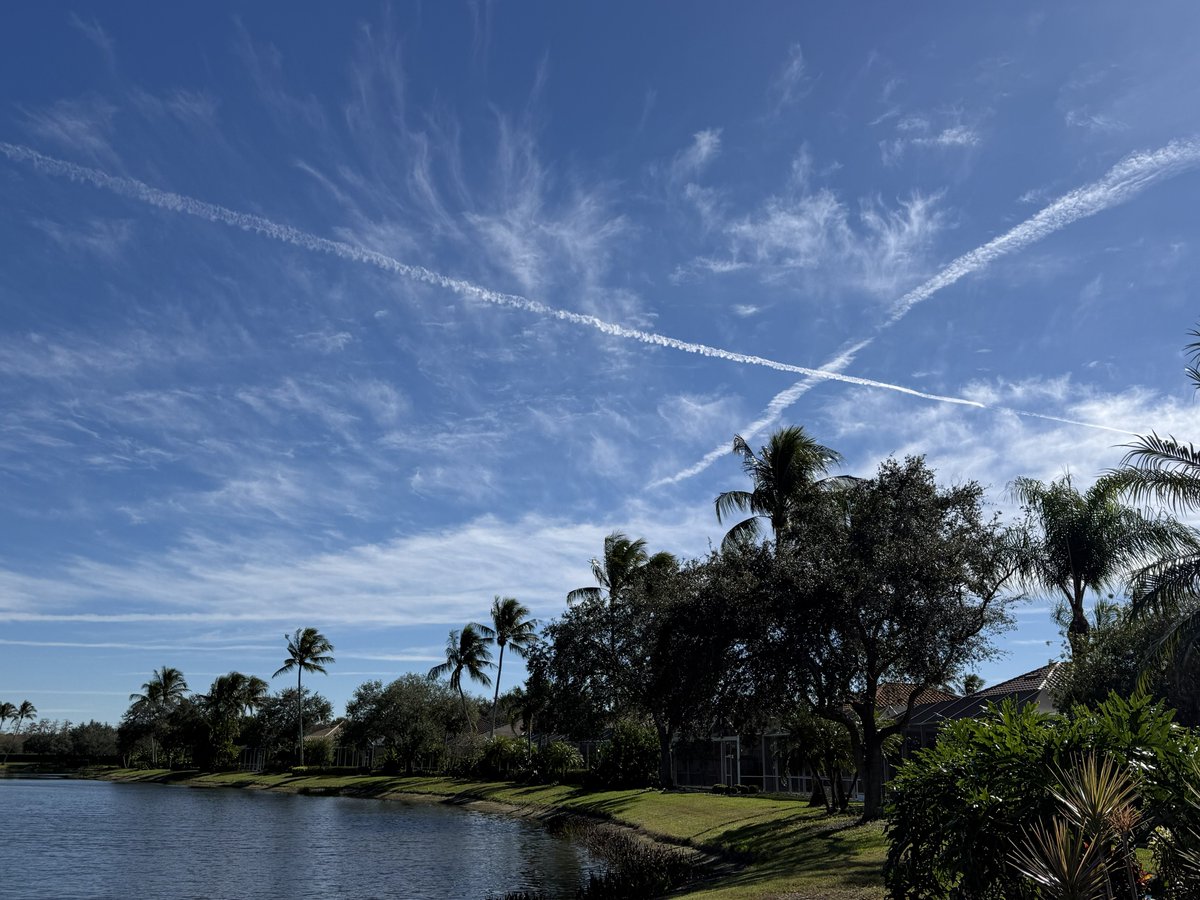 AmericanMan 🇺🇸 tweet media