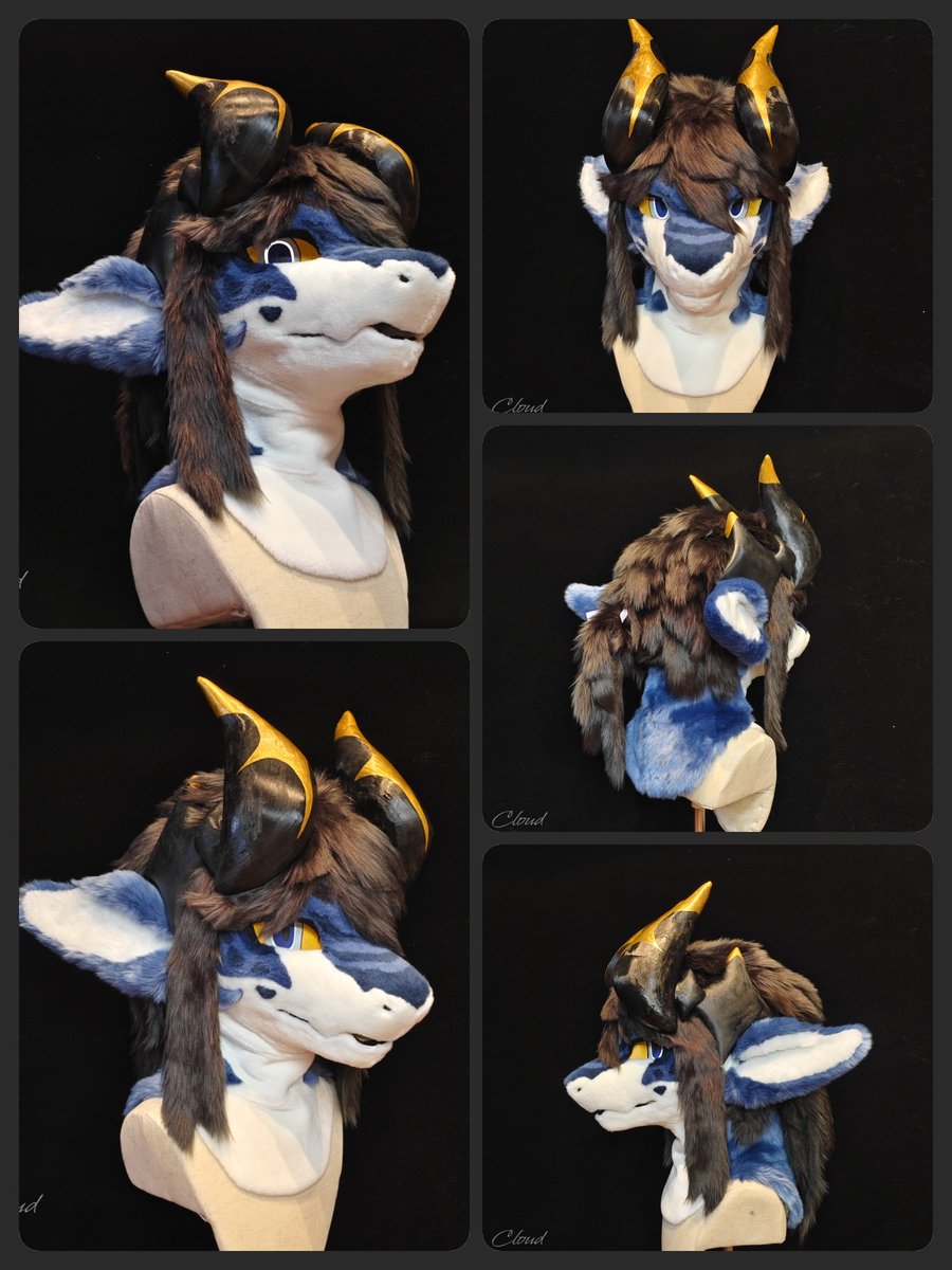 ✨✨【fursuit premade】✨ This is a proxy sale⭐️Priced at $1200, Excluding postage✨only the head ✨Head height is 28cm,head circumference 57cm-❤️ ✨If you want to purchase, welcome DM #FursuitEveryday #fursuit #兽装