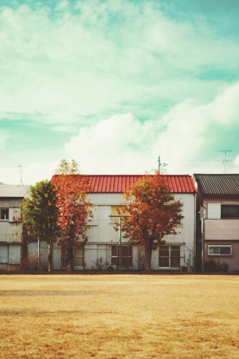 彩川 菜々ฅ'' tweet media