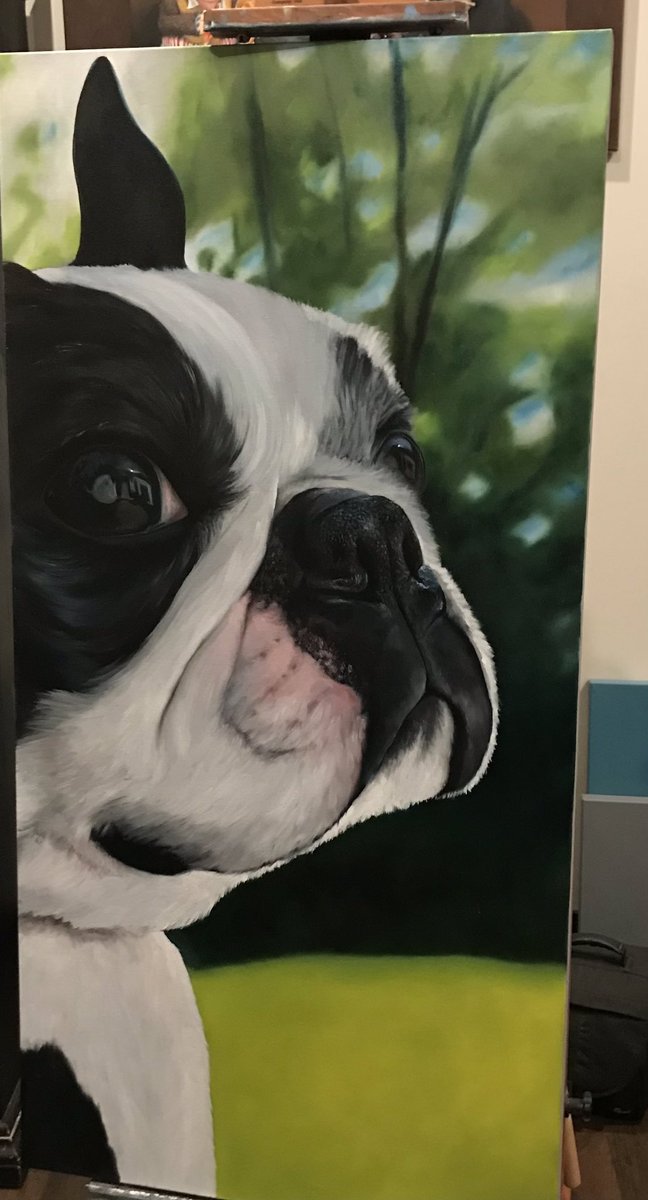 Some progress of the Boston Terrier portrait I am painting ❤️ because the world needs a bit of love and dogs are just that! (2ftx4ft, oil paint on gallery wrapped canvas)