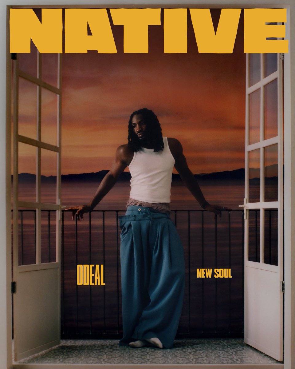 The NATIVE tweet media