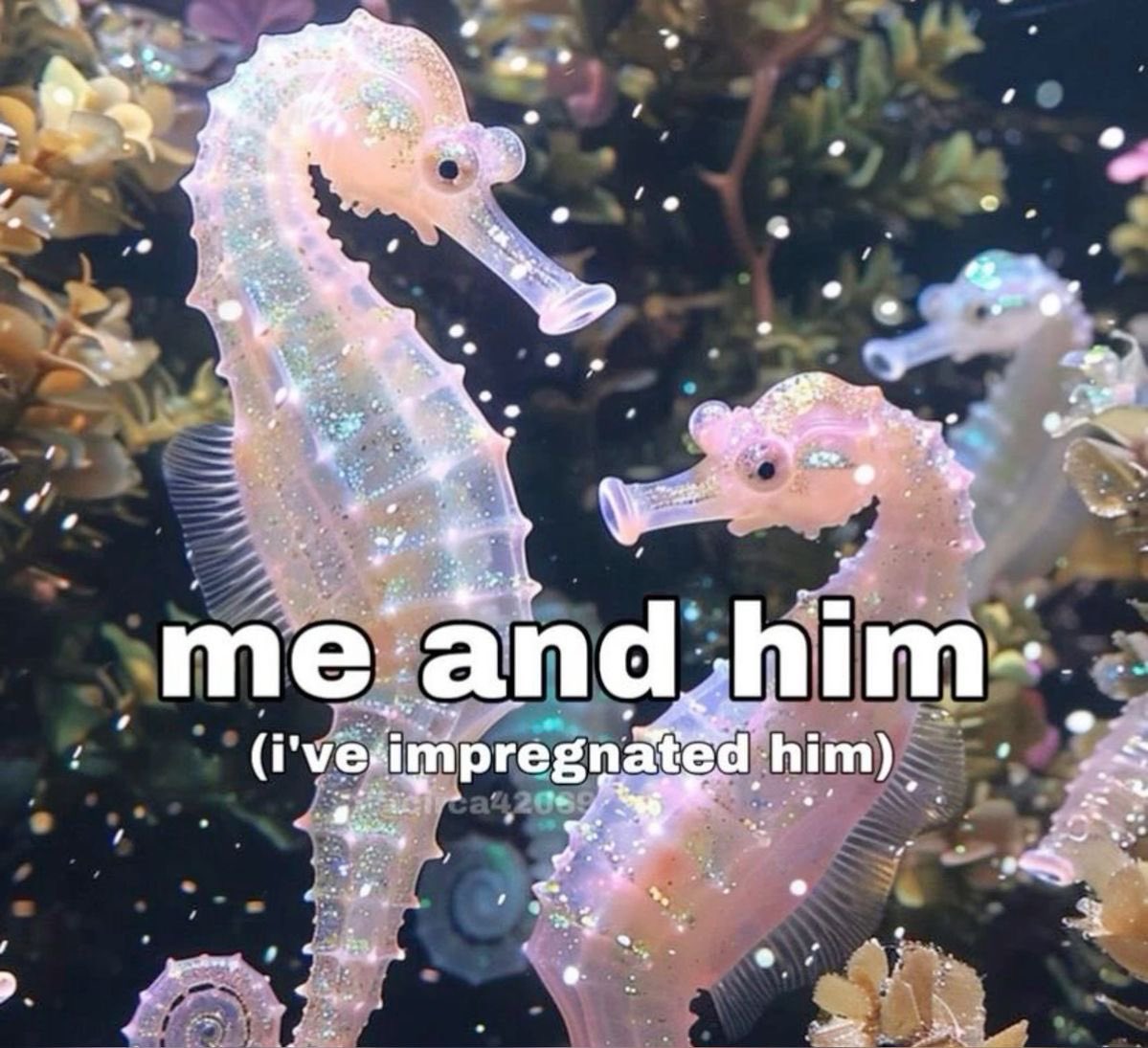 ♡ (@astralbaes) on Twitter photo 