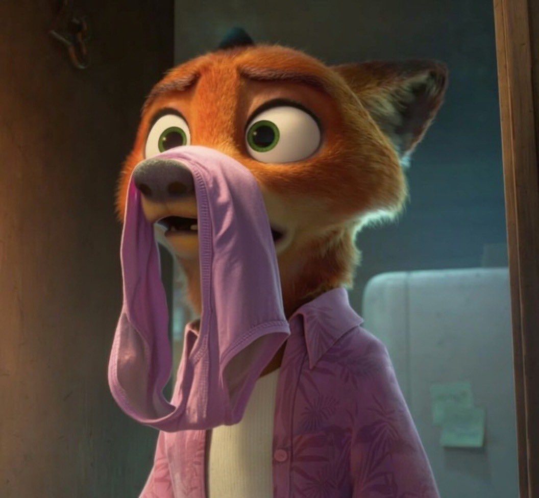 ZoopToopis 🦊 (@hausofwilde69) on Twitter photo 