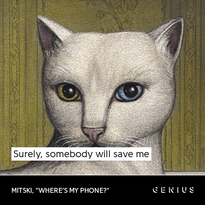 iamnotmitski tweet media