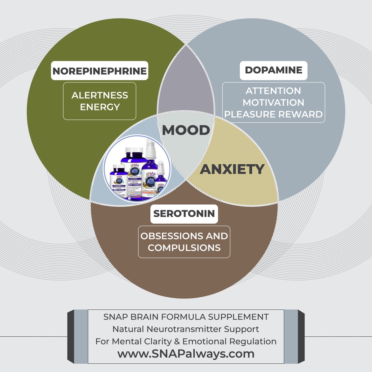 SNAP Brain Health Supplements tweet media