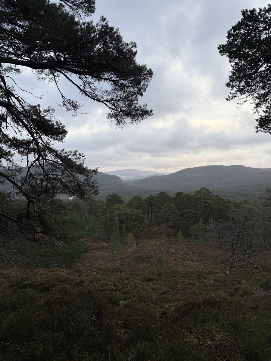 Percy Thrower tweet media