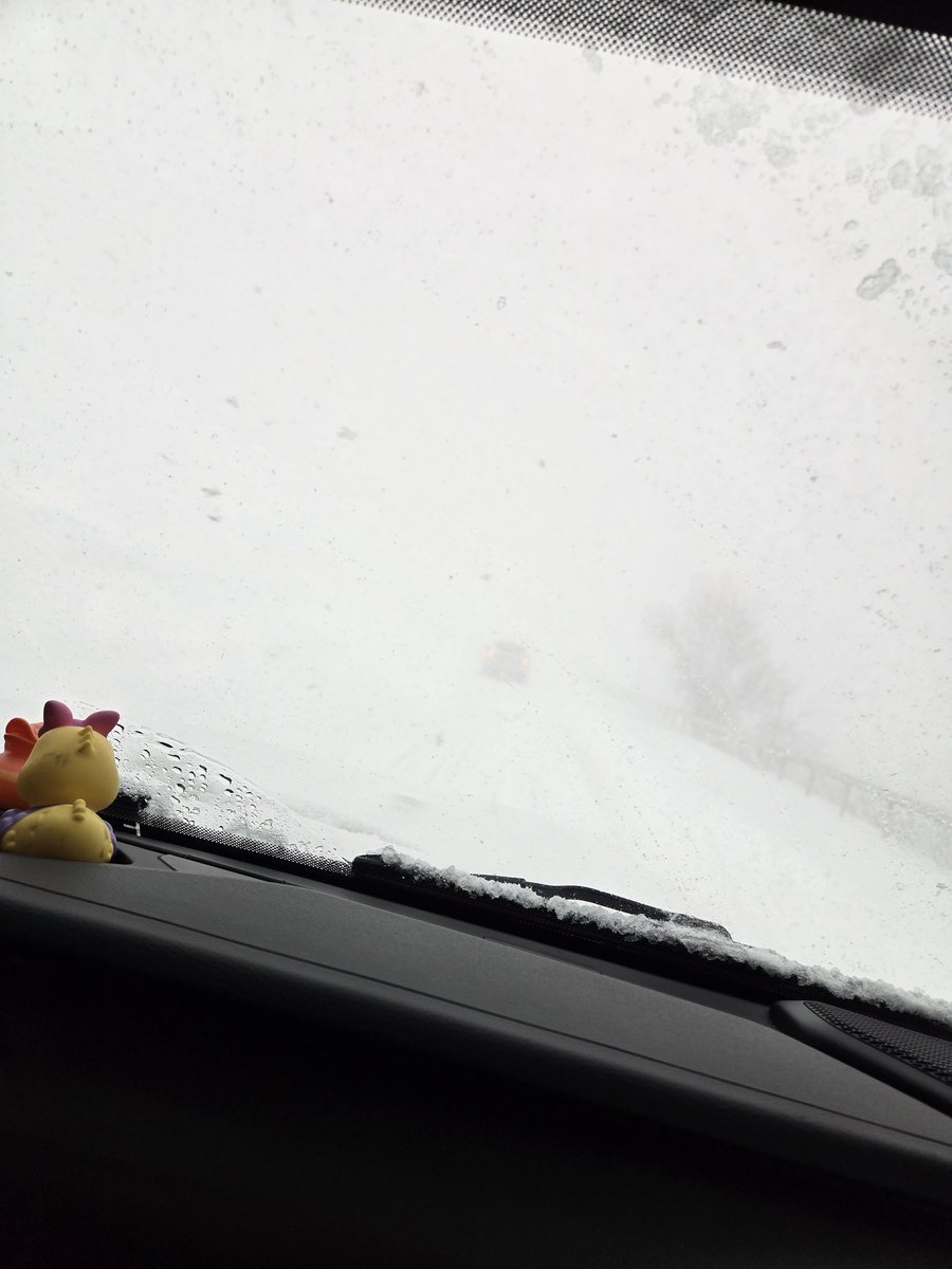 Please no january next year pokemon