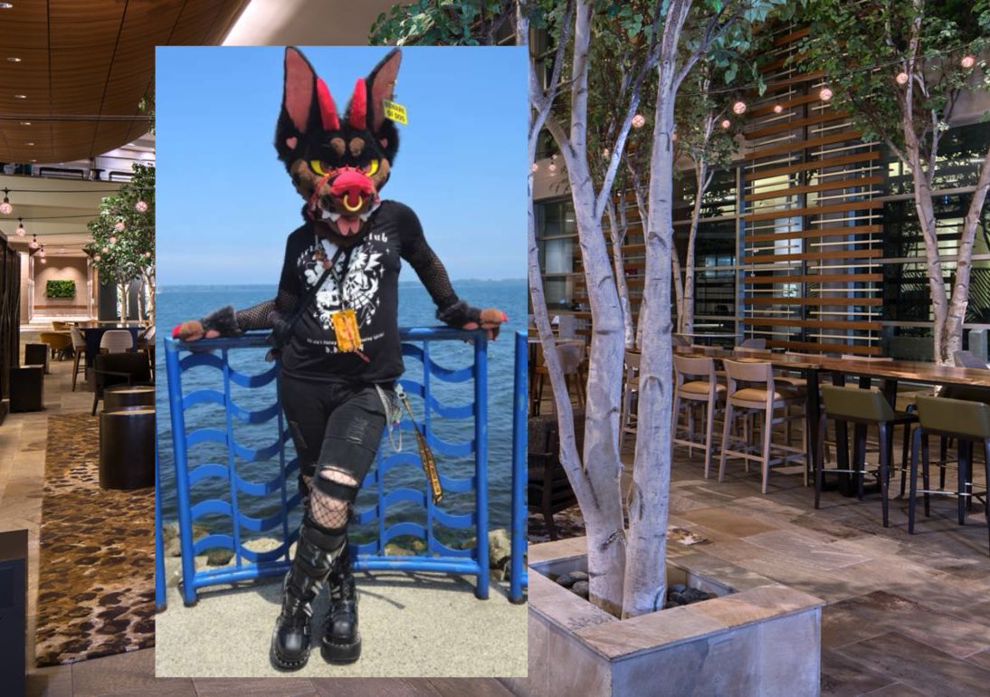 had a great time at ANE :)