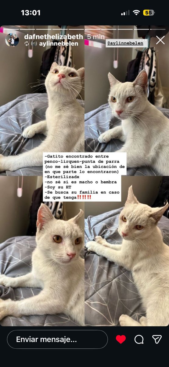 fnelwt_'s tweet image. Hola querida!!! será él? espero de todo corazón que sí🥺🥺🥺🥺🥺