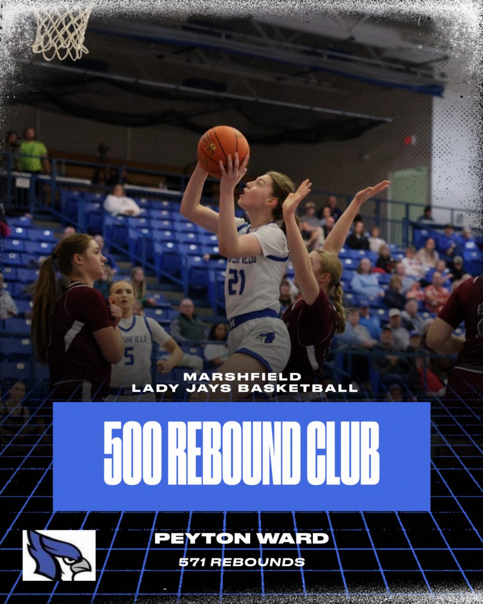 Lady Jays Basketball tweet media