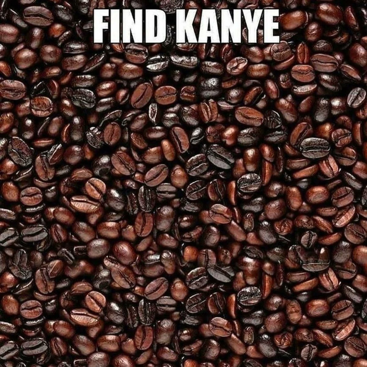 Find Kanye, get a tip on Pigmo 🐽