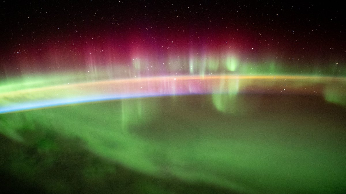 astropics's tweet image. Auroras from space