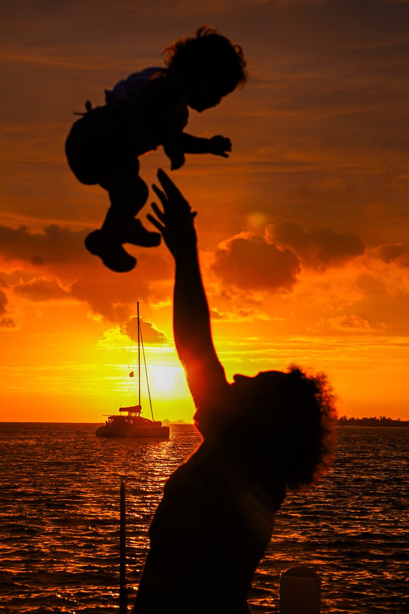 carlosjmelgar.eth tweet media