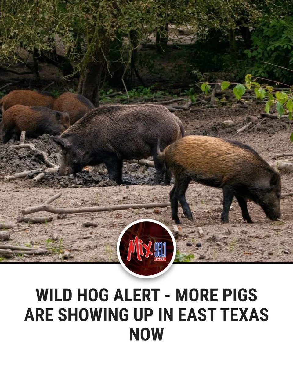JALat84's tweet photo. #WPS https://t.co/aTofs2mWwY