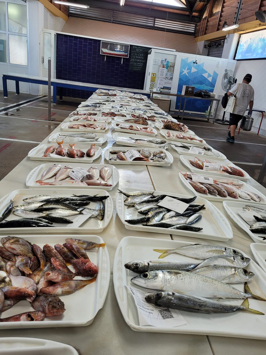 CampelloTurismo's tweet image. Debido a las Movilizaciones del Sector Pesquero, la Cofradia Pescadores nos informa que los días 19 y 20 de enero, no habrá Subasta de Pescado.

Disculpen las molestias