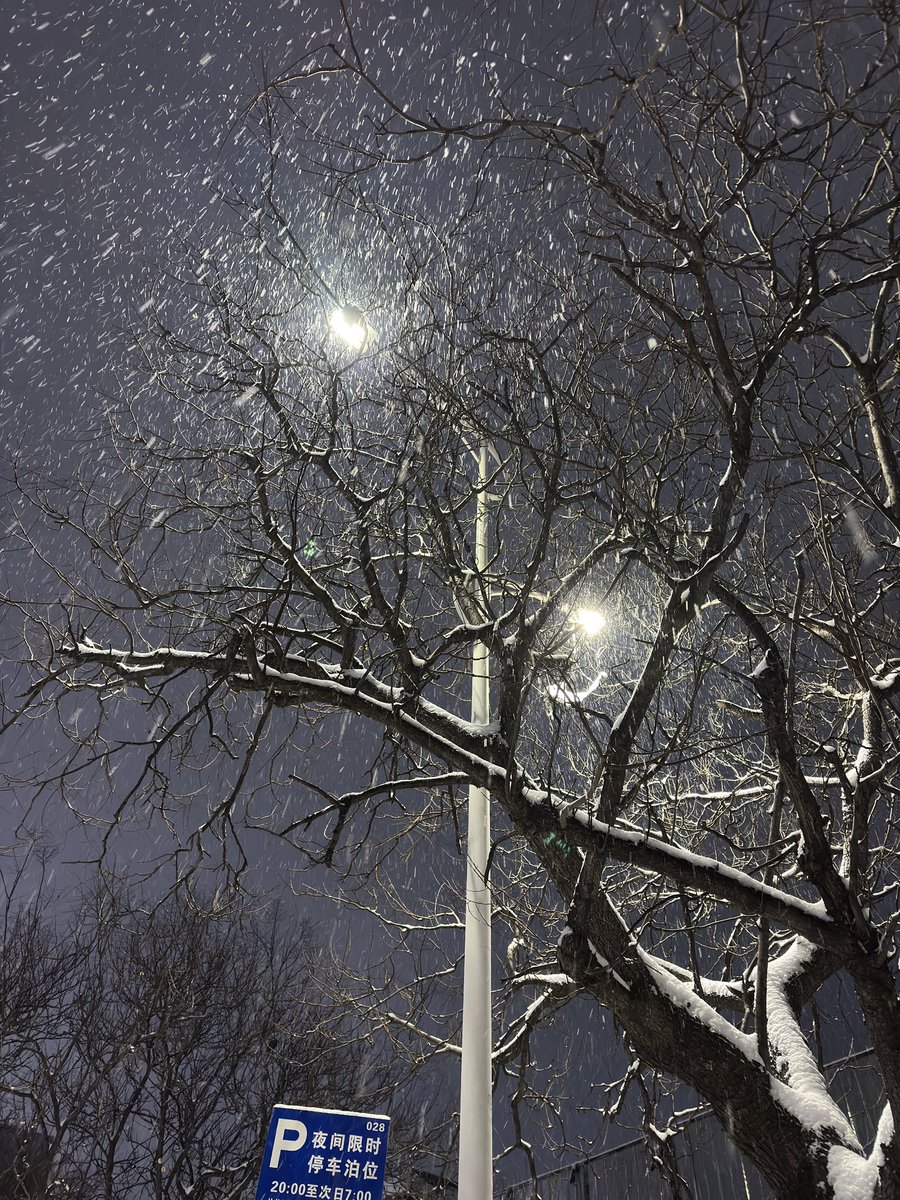 MistVoyage7's tweet photo. ❄️ https://t.co/WMS0W5LyGc