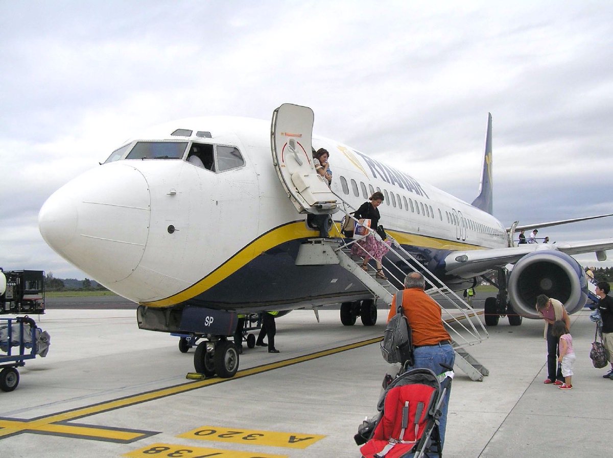 Fran Camino tweet media