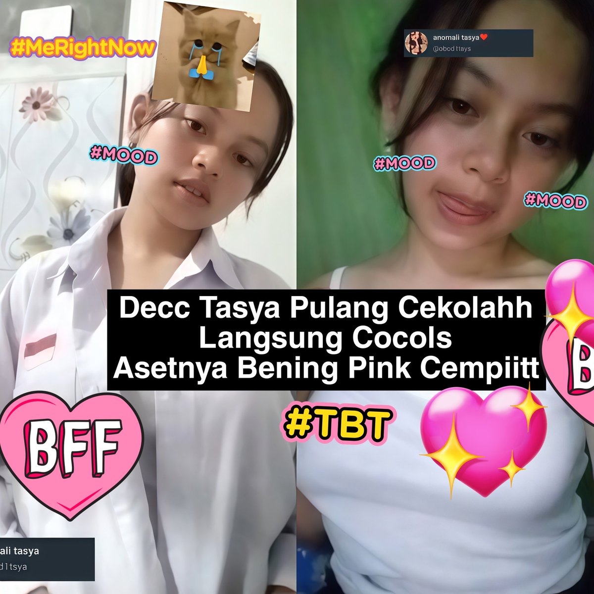 foxnoolover's tweet image. 