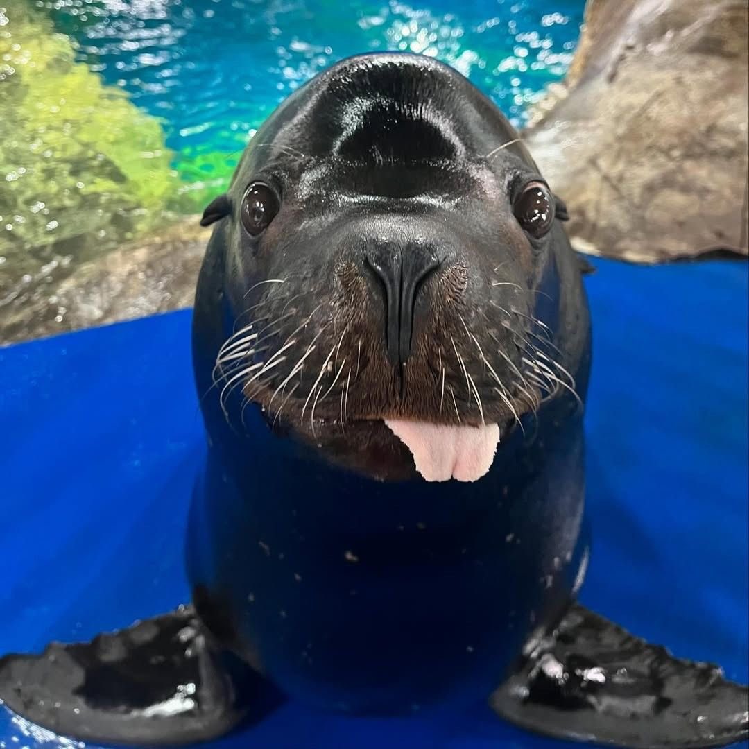 squeebro's tweet image. 