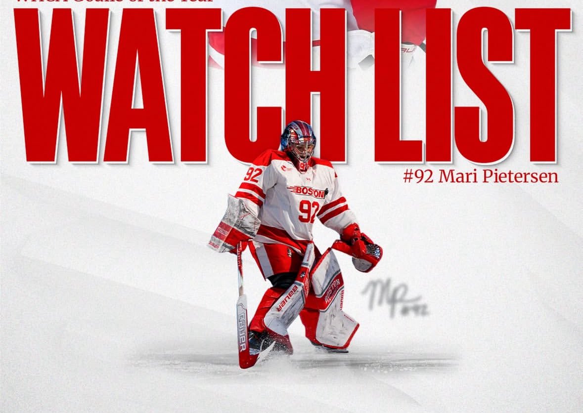 Top Prospects Goaltending tweet media