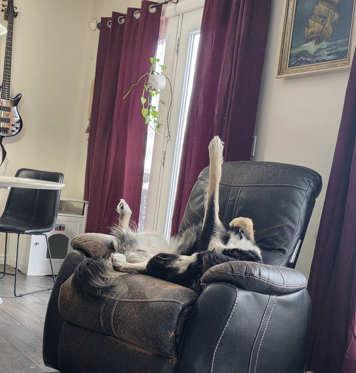 Swales 🐳 tweet media