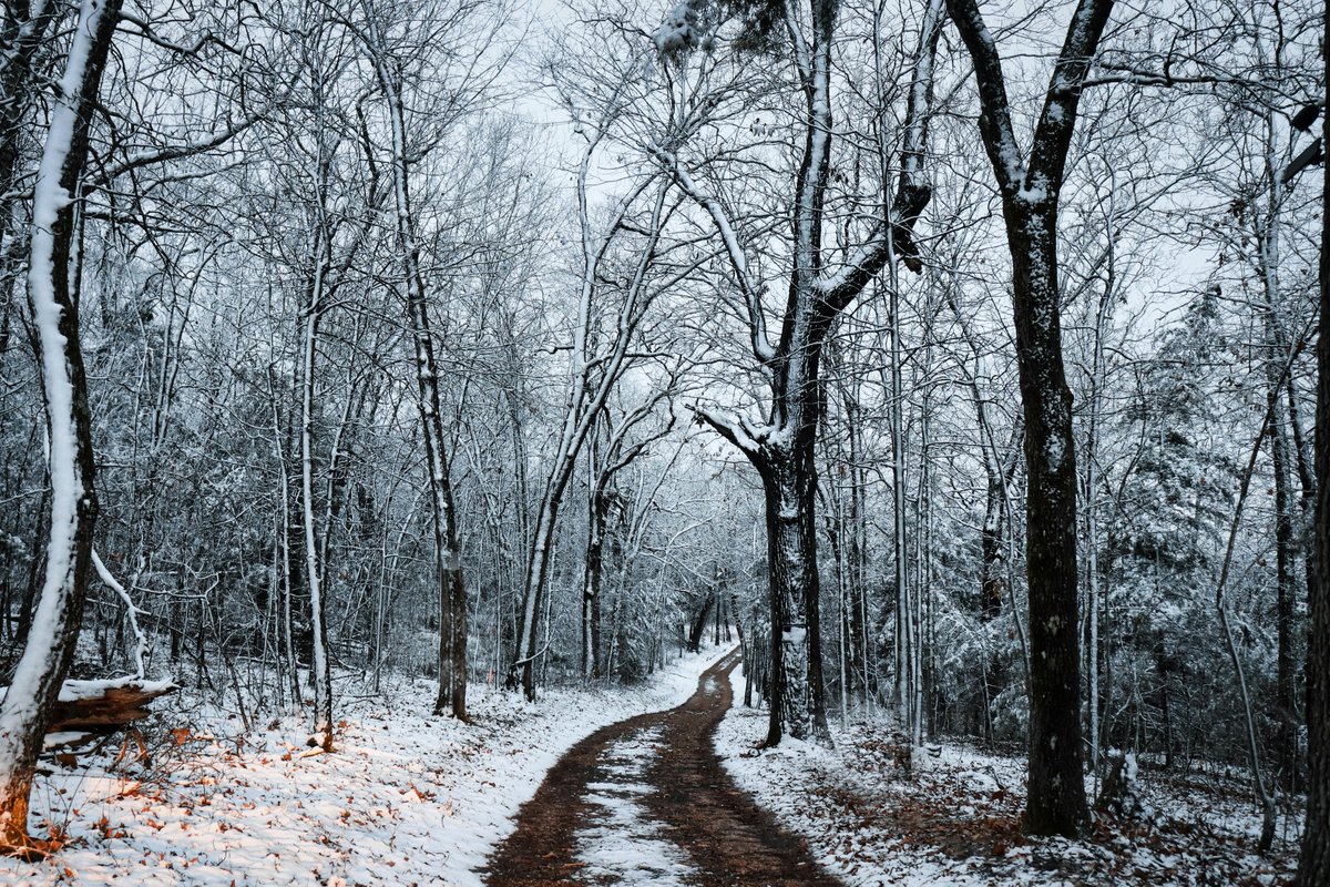 TPCMag's tweet image. Mind the freeze line.
Late season, bedding below the freeze layer keeps traps firing longer. Dig just deep enough to set under the crust and bed solid.
How deep are you bedding in frozen ground?
#trappingtips #traptuning #wintertrapping #coldweathertrapping #traplinegear